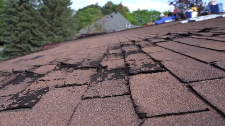 Best Roof Coating and Sealing  in Townsend, MT