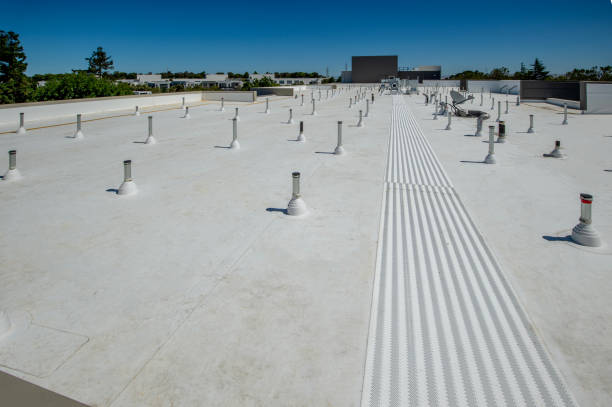 Best Roof Moss and Algae Removal  in Townsend, MT